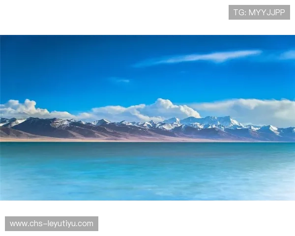 乐鱼app官方入口无限制访问，确保用户安全稳定登陆享受优质娱乐体验