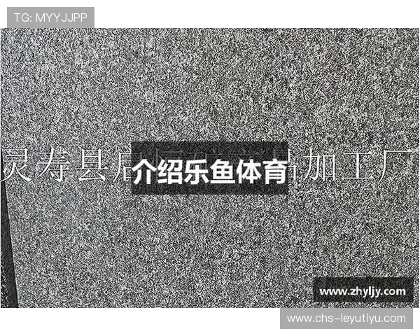 乐鱼体育平台官网最新版本下载及使用指南