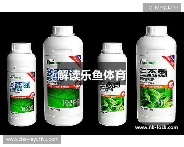 乐鱼体育网页登入后如何快速找到热门体育赛事与最新资讯 乐鱼体育网页登入后如何快速找到热门体育赛事与最新资讯