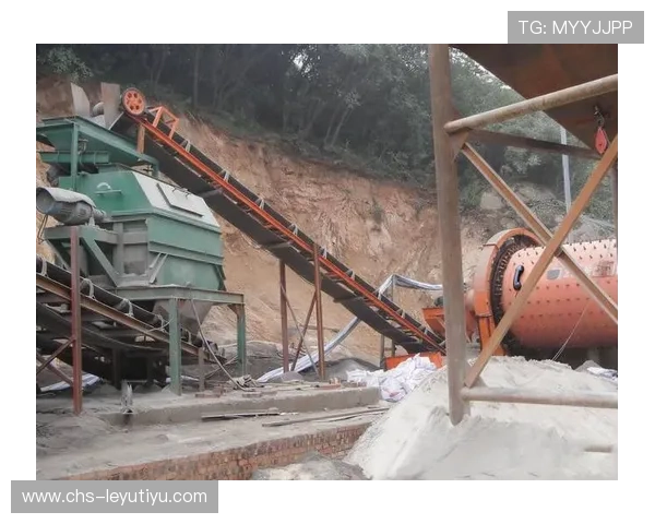 乐鱼手机版多功能体育娱乐，满足不同用户的多样化需求