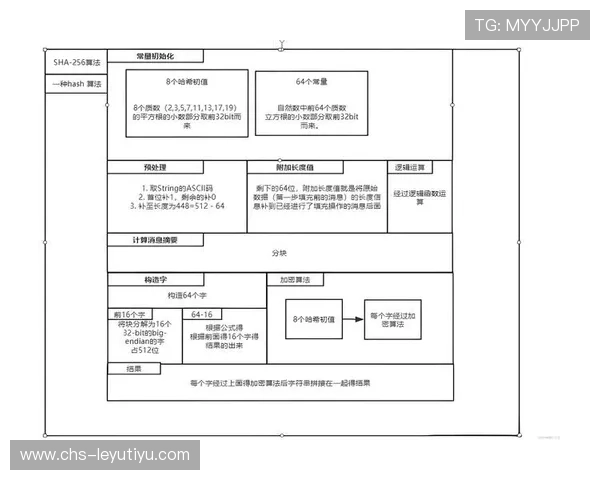 乐鱼登录下载：官方渠道下载保障游戏安全与稳定运行的详细流程