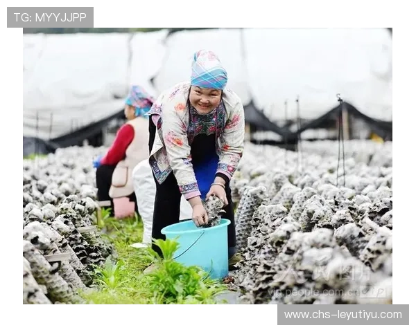 乐鱼娱乐app官网下载最新版本，安全稳定的游戏下载平台推荐