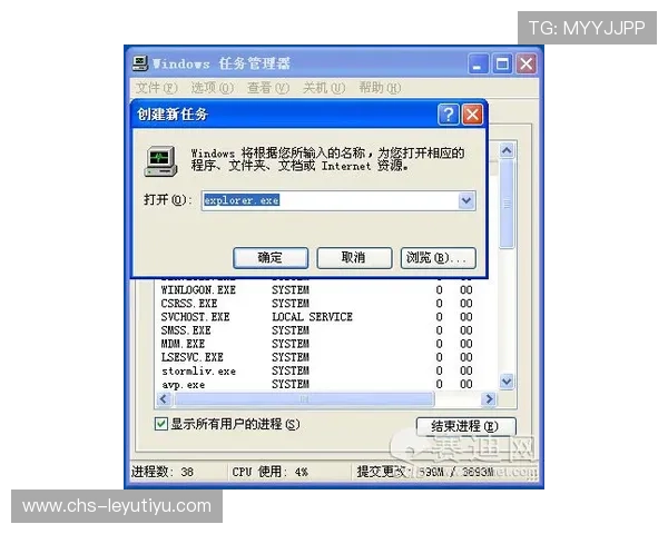乐鱼电脑网页版登录流程详解让你快速掌握登录步骤轻松畅玩热门游戏