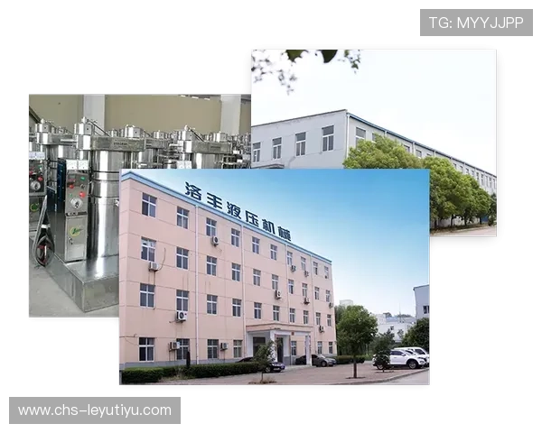 瑞丰乐投letou:全面解析其投资优势与发展前景 瑞丰乐投letou:全面解析其投资优势与发展前景